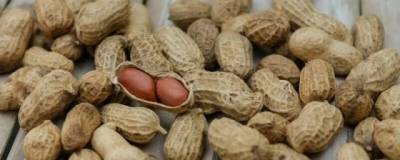 Ученые Университета Барселоны доказали, что арахис снижает уровень стресса
