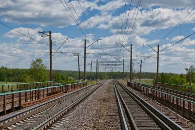 В Чехове железнодорожные станции планируют оградить колючими кустарниками