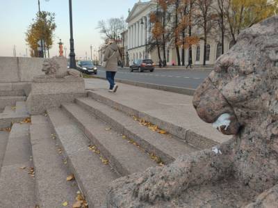 Фото: петербургским «львам» замазали пасти белой краской