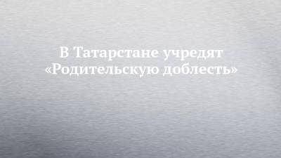 В Татарстане учредят «Родительскую доблесть»