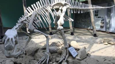 В костях динозавров нашли структуры, похожие на ДНК