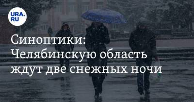 Синоптики: Челябинскую область ждут две снежных ночи. Скрин