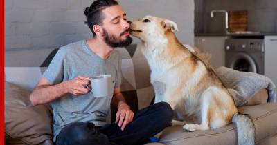 Любовь или инстинкт: почему собакам нравится облизывать своих хозяев