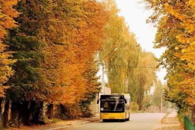 В Ижевске 9 октября пустят дополнительные автобусы до кладбища