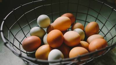 Диетолог рассказал, сколько яиц в день можно съесть без вреда для здоровья