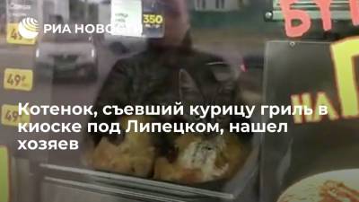 Котенок, съевший курицу гриль в киоске под Липецком, нашел хозяев, а продавца уволили