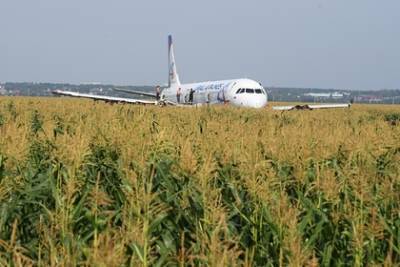 В России снимут фильм про посадку самолета в кукурузном поле в 2019 году