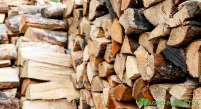 Как хранить дрова на даче