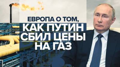 «Газовая помощь»: реакция европейских журналистов на речь Путина и «Северный поток — 2»