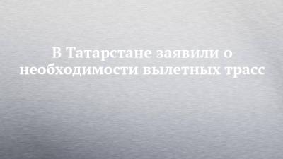 В Татарстане заявили о необходимости вылетных трасс