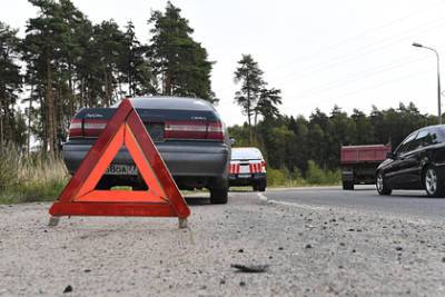 Петр Шкуматов - Автоэксперт назвал три причины высокой смертности на российских дорогах - lenta.ru - Россия