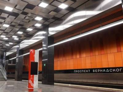 Правительство Воронежской области наградит избитого в московском метро земляка сувениром