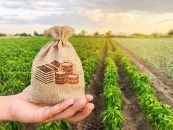 Сбер выдаст сельхозпроизводителям зелёные и ESG-кредиты на специальных условиях