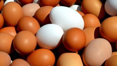 Диетолог Гинзбург рассказал о полезных свойствах яиц