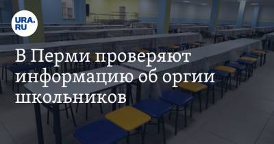 В Перми проверяют информацию об оргии школьников