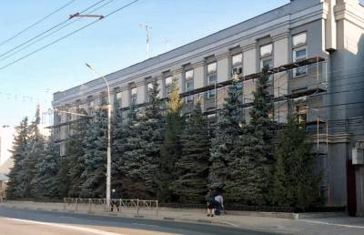 Рязанские активисты призвали мэрию сохранить голубые ели в центре города