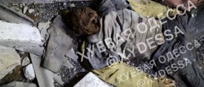 В Одессе на чердаке жилого дома коммунальщики обнаружили мумифицированный труп мужчины
