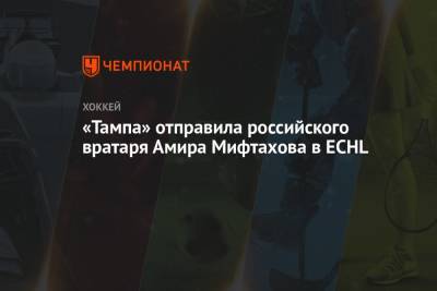 «Тампа» отправила российского вратаря Амира Мифтахова в ECHL