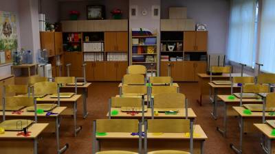 В Псковской области дистанционное обучение школьников прекращается с 11 октября