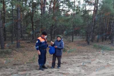 В Ростовской области пенсионерка пошла в лес за грибами и заблудилась