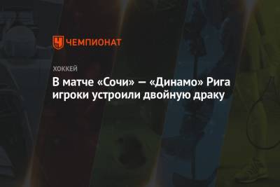 В матче «Сочи» — «Динамо» Рига игроки устроили двойную драку