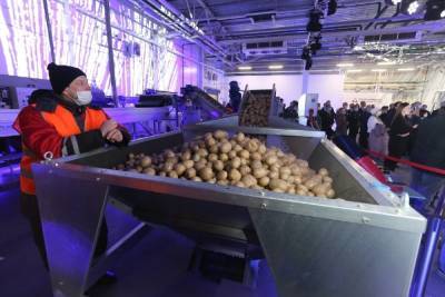 В Омске подскочили цены на картофель и хлеб