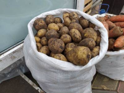 Эксперт объяснил резкий рост цен на картофель в Новосибирске