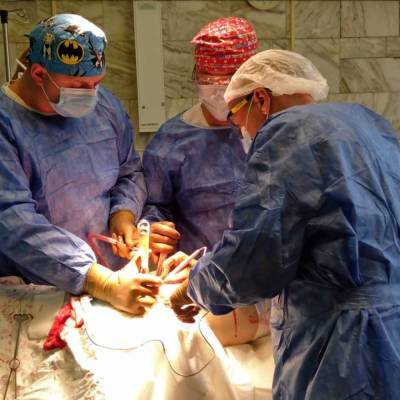 Сахалинские врачи совершенствуют технику эндопротезирования