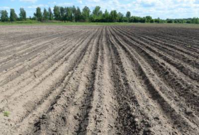 В Ленобласти начнется прием заявок на конкурс по распределению земель для аграриев