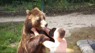 "Два богатыря!": медведь Мансур борется со своим хозяином