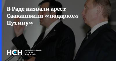 В Раде назвали арест Саакашвили «подарком Путину»