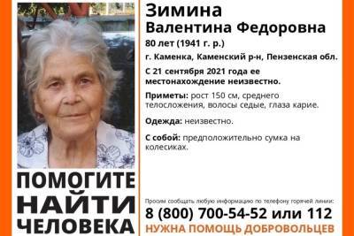 В Пензе идут поиски пропавшей без вести 80-летней женщины