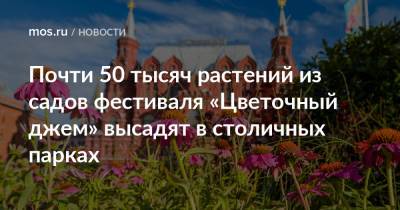 Почти 50 тысяч растений из садов фестиваля «Цветочный джем» высадят в столичных парках - mos.ru - Москва