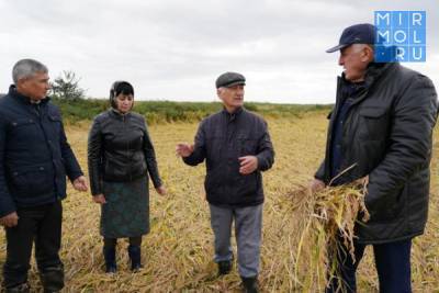 Абдулмуслим Абдулмуслимов ознакомился с состоянием рисовых чеков на севере Дагестана