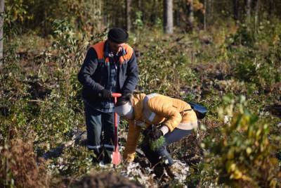 Сотрудники Комитета госконтроля по Гродненской области присоединились к акции “Чистый лес”