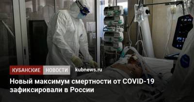Новый максимум смертности от COVID-19 зафиксировали в России