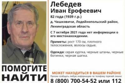 В Чашковичах вторые сутки ищут 82-летнего мужчину, пропавшего на вечерней прогулке