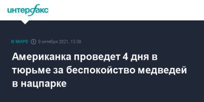 Американка проведет 4 дня в тюрьме за беспокойство медведей в нацпарке