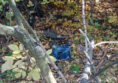 На месте поисков Елены Логуновой нашли джинсы и перчатки