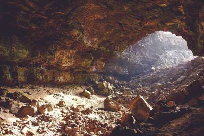 Французские ученые усомнились в теории о происхождении коронавируса из пещеры Модзян