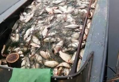 В Украине увеличили штрафы за незаконный лов рыбы