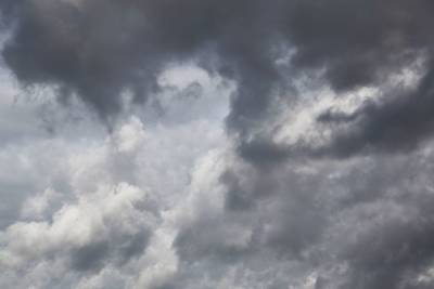 Облачная погода с сильным ветром ждет жителей Ленобласти в воскресенье