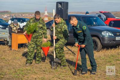 В Татарстане на акции «Сохраним лес» посадили свыше миллиона деревьев