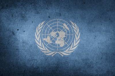 Баранец обвинил ООН в попытке «одурачить» общественность новым докладом по Ливии