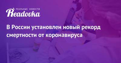 В России установлен новый рекорд смертности от коронавируса