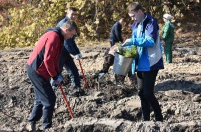 На Новолипецке высадили 18 тысяч маленьких сосенок