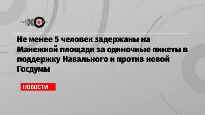 Не менее 5 человек задержаны на Манежной площади за одиночные пикеты в поддержку Навального и против новой Госдумы