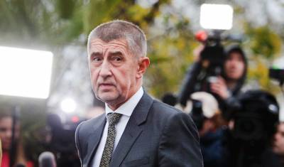 На выборах в Чехии лидирует правящее движение премьера Андреня Бабиша
