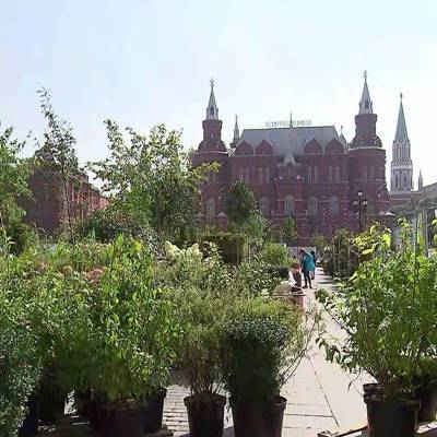 В парках Москвы высадят порядка 50тыс. кустарников, цветов и деревьев из садов фестиваля "Цветочный джем"