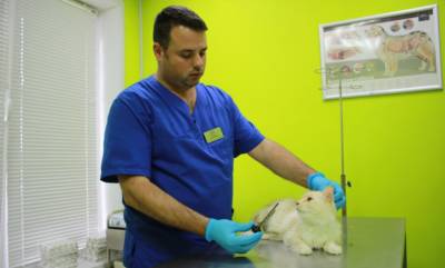 Раньше на двух – теперь на четырех. Бионическое протезирование животных, инновационный опыт которого переняли в Лиде, становится более доступным в Беларуси